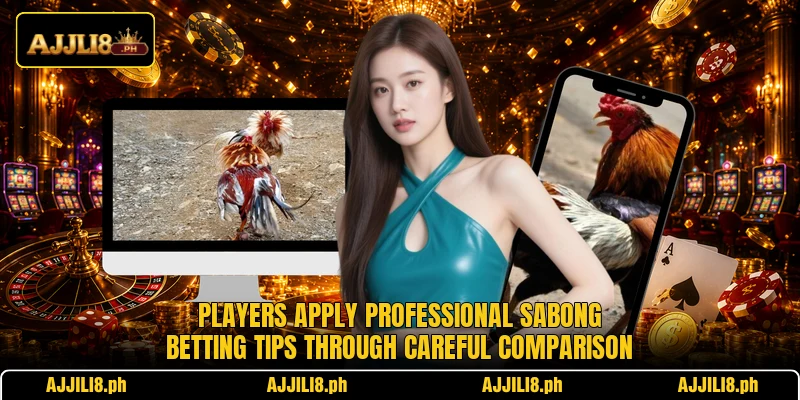 Players apply professional sabong betting tips through careful comparison