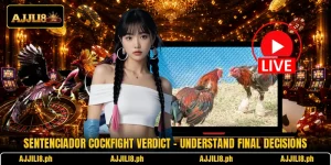 Sentenciador Cockfight Verdict – Understand Final Decisions